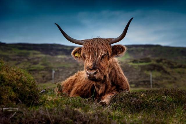 Kindale House Hotel Helmsdale Luaran gambar